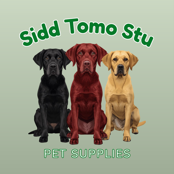 SiddTomoStu.com